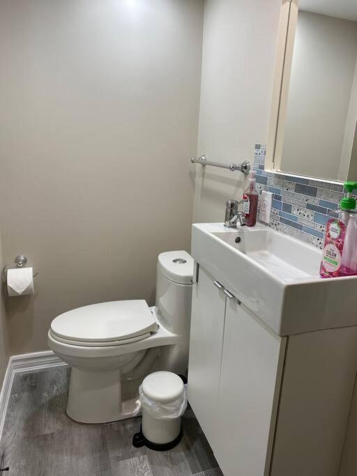 Entire Basement With 3 Bedrooms Niagara Falls Luaran gambar
